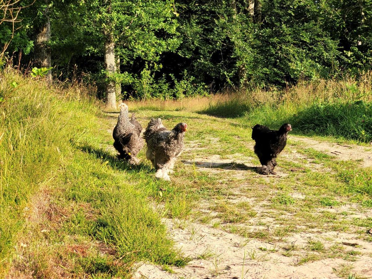 Willa Bergakungen Stugby Osby  Zewnętrze zdjęcie